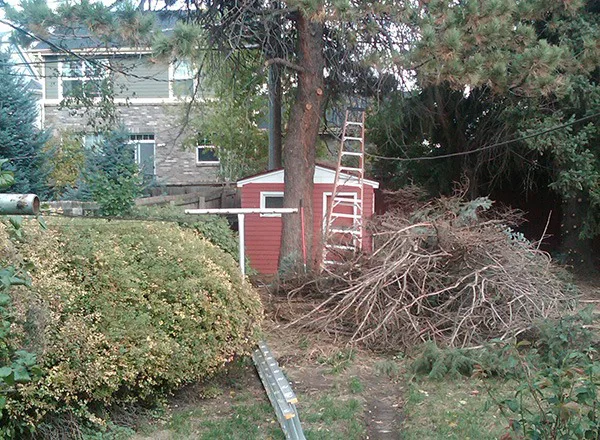 Whole House Remodel Plus Addition 24 Before